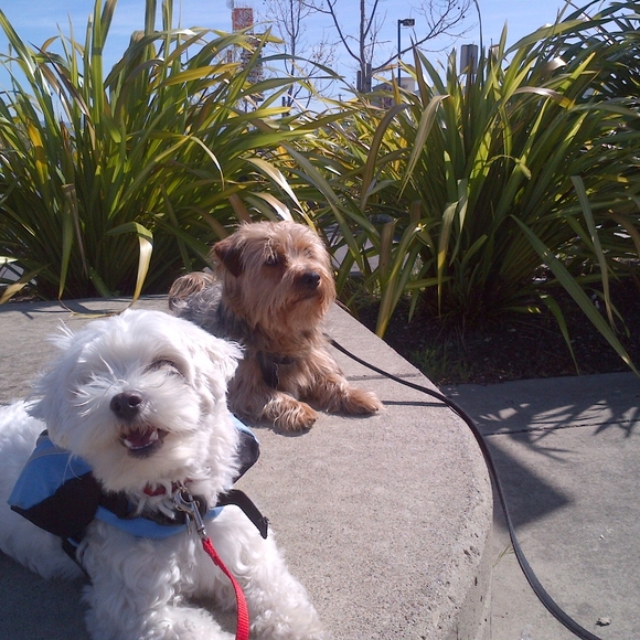 We Love Offers❤️😁 - Picture 6 of 10